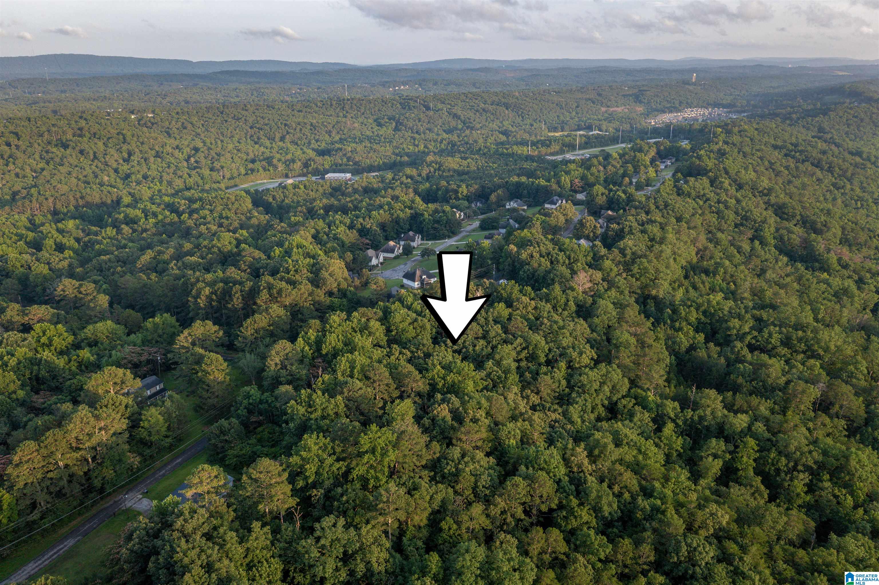 0 Levine Road, Unit X Odenville, AL 35120 - Photo 8 of 16