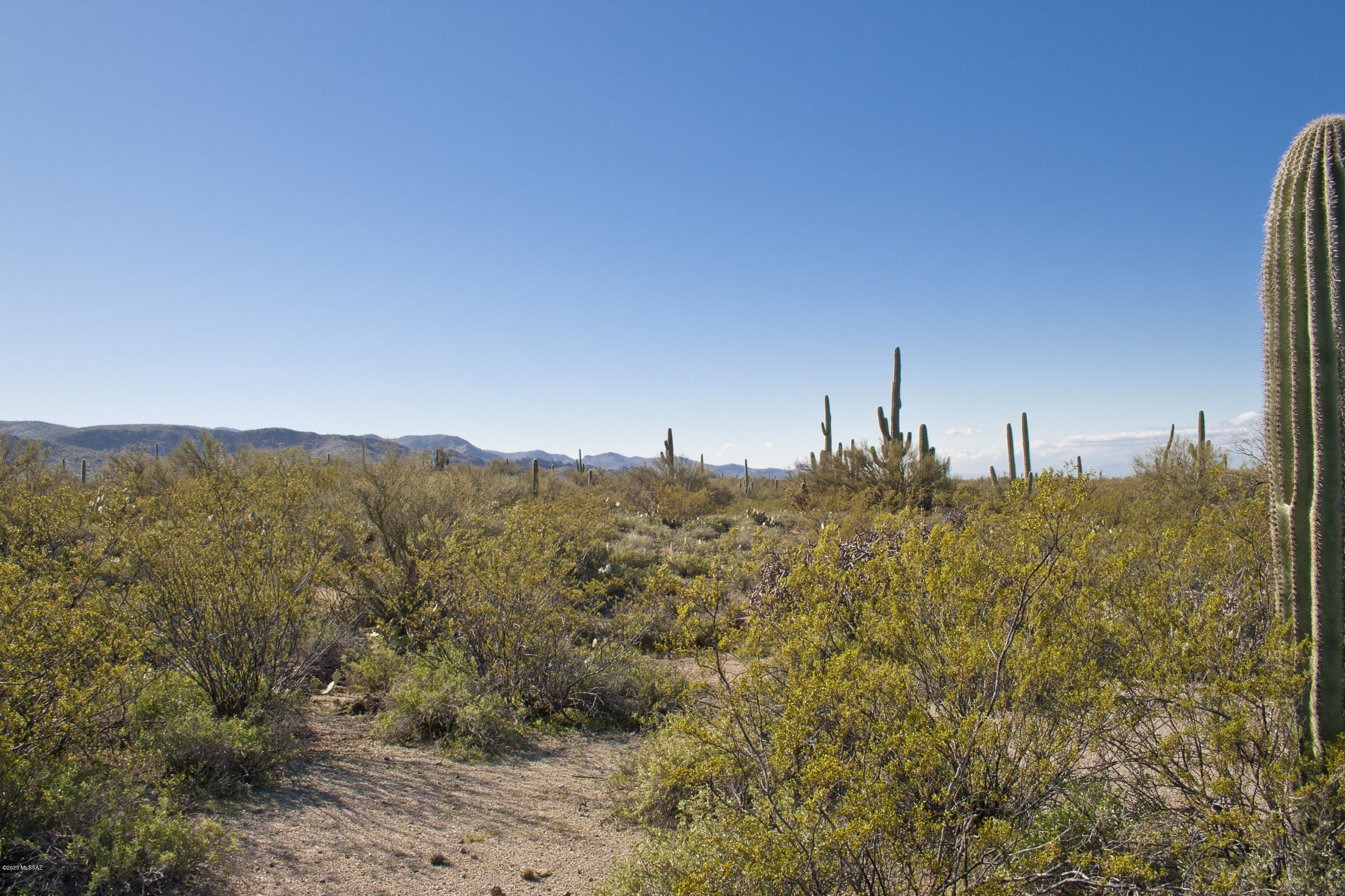 0 South Deerfield Road Marana, AZ 85658 - Photo 22 of 26