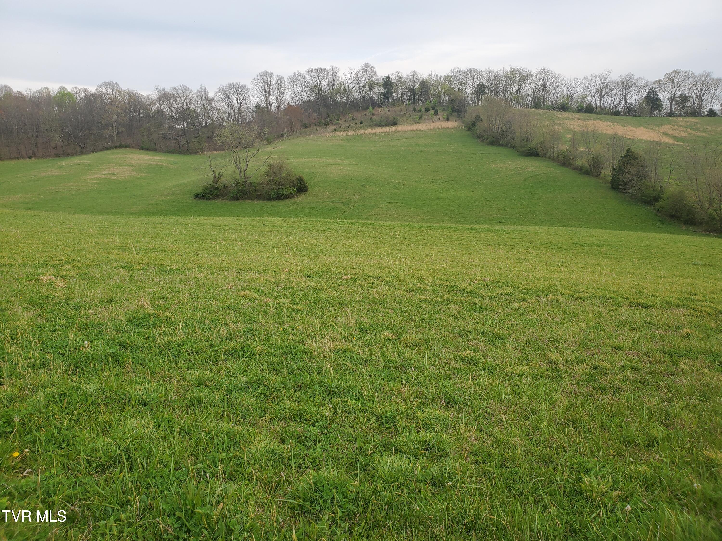 330 Cannon Road Limestone, TN 37681 - Photo 5 of 8 20240402_175900