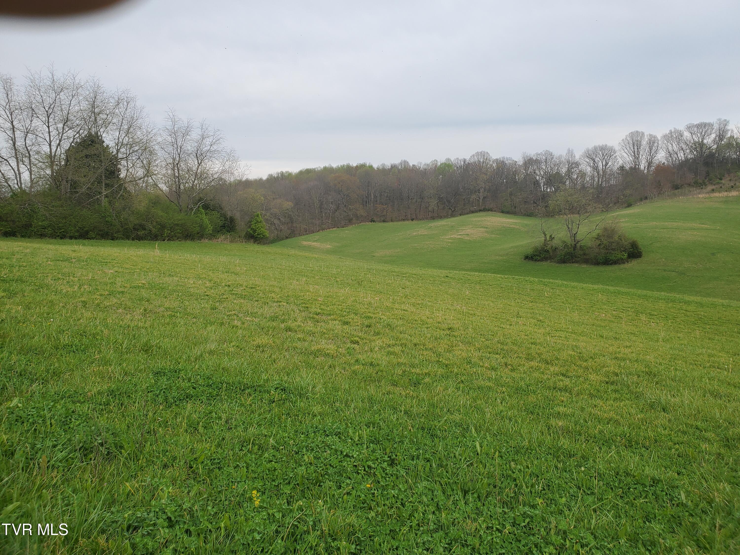 330 Cannon Road Limestone, TN 37681 - Photo 8 of 8 20240402_180101
