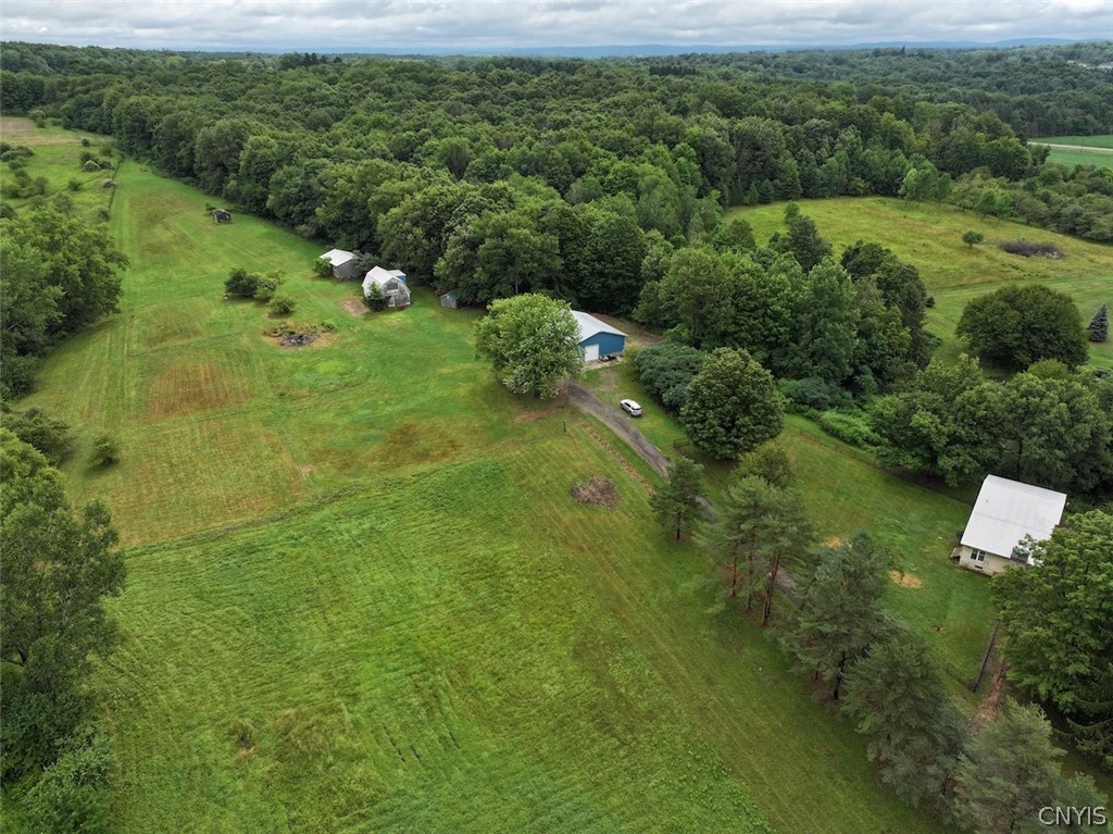 13849 Brewer Road Collins, NY 14034 - Photo 4 of 50 Gallery Image 4
