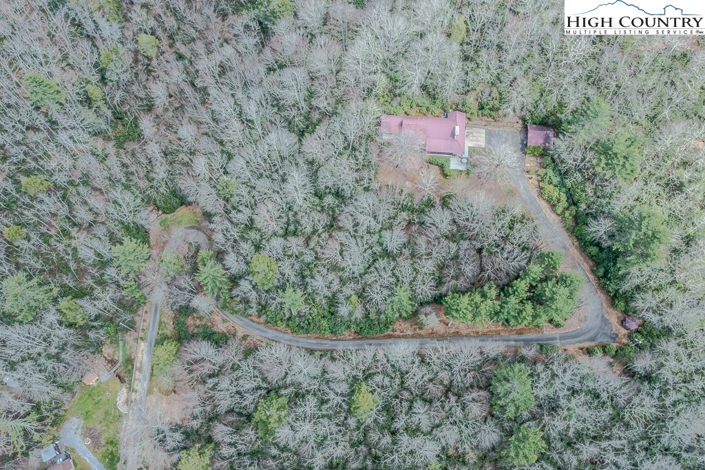 80 Avery Co High School Road Newland, NC 28657 - Photo 36 of 36 a view of a yard with large trees