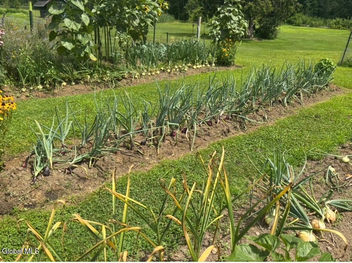 2099 Rowley Road Malta, NY 12020 - Photo 77 of 78 IMG_1462