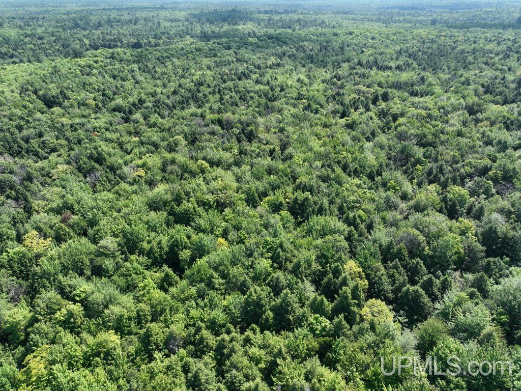0 Peter White Road Au Train, MI 49806 - Photo 4 of 12
