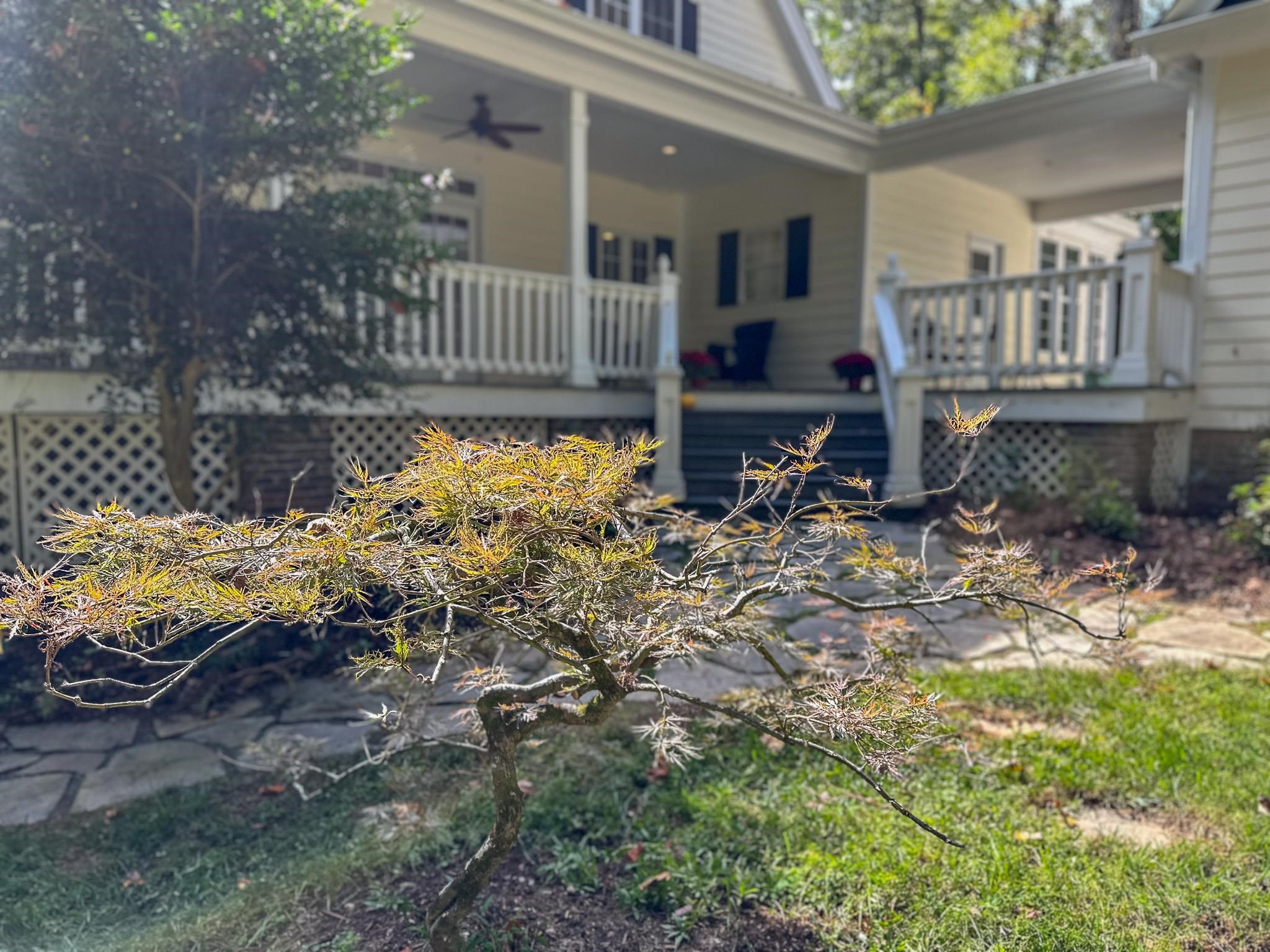 4123 Bradford Ridge Road Efland, NC 27243 - Photo 57 of 72 Photo 53