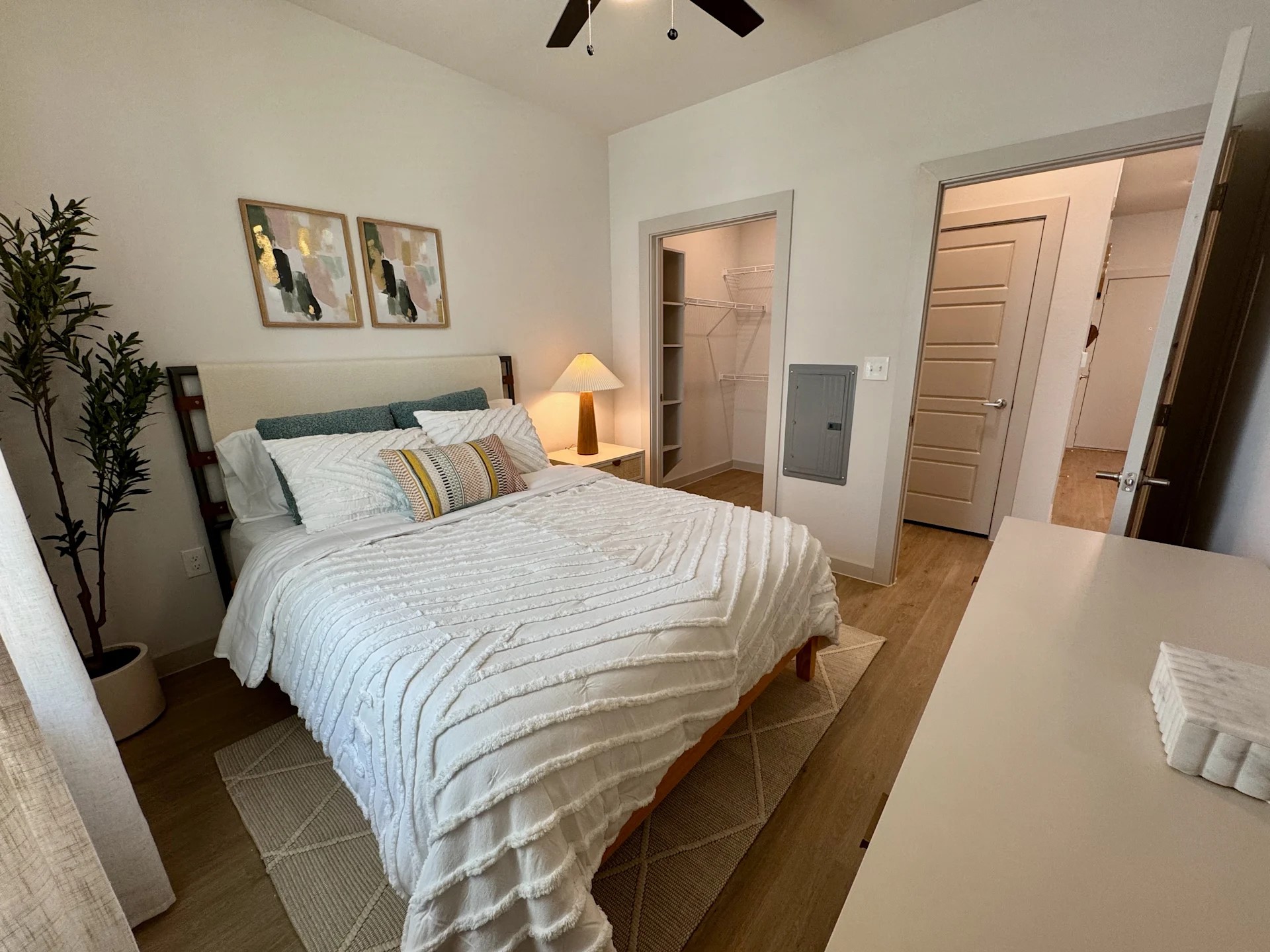 320 Goll Street, Unit 2214 Kyle, TX 78640 - Photo 4 of 19 a bedroom with a bed and a couch