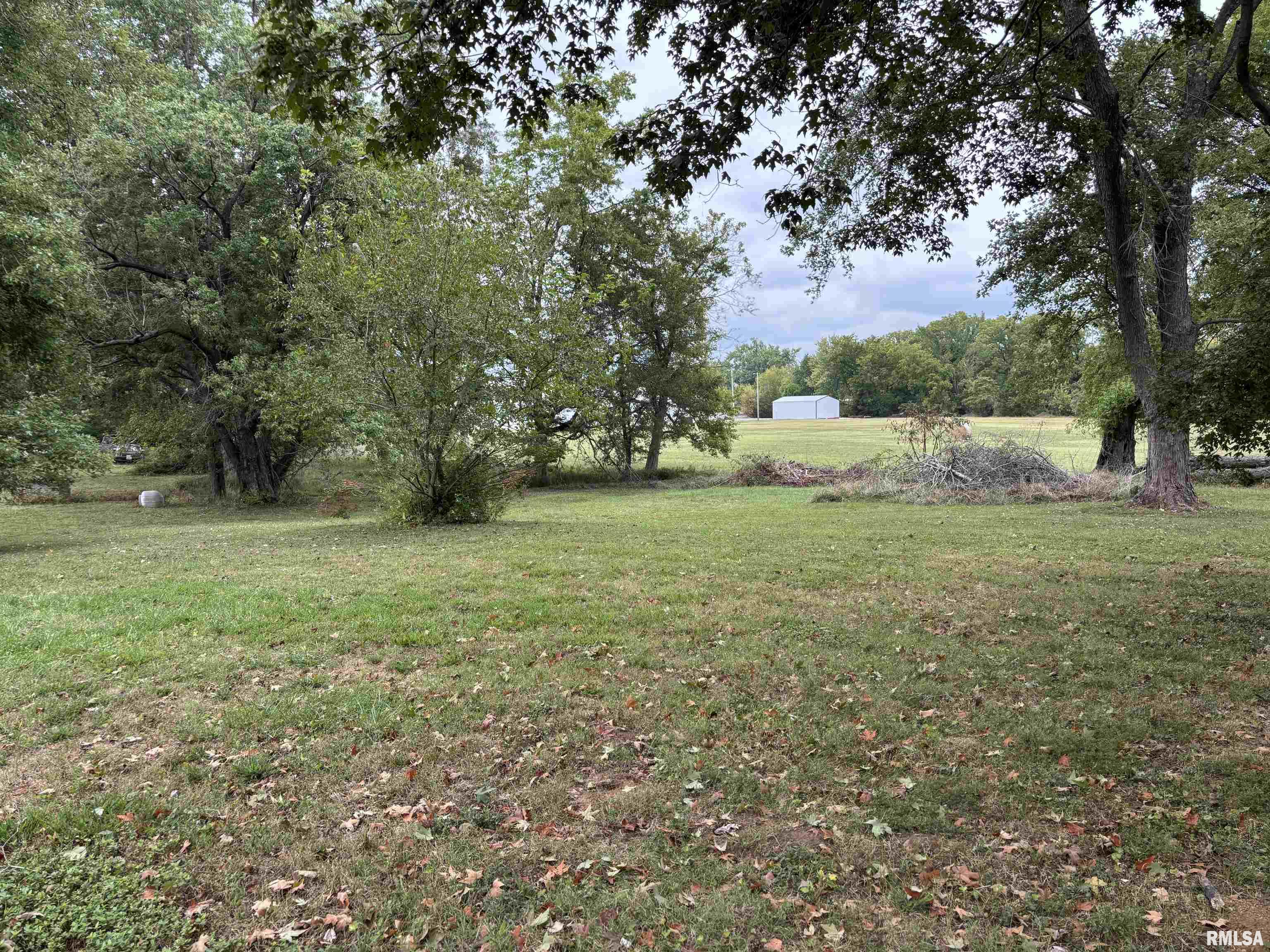 122 Center Street Anna, IL 62906 - Photo 48 of 49