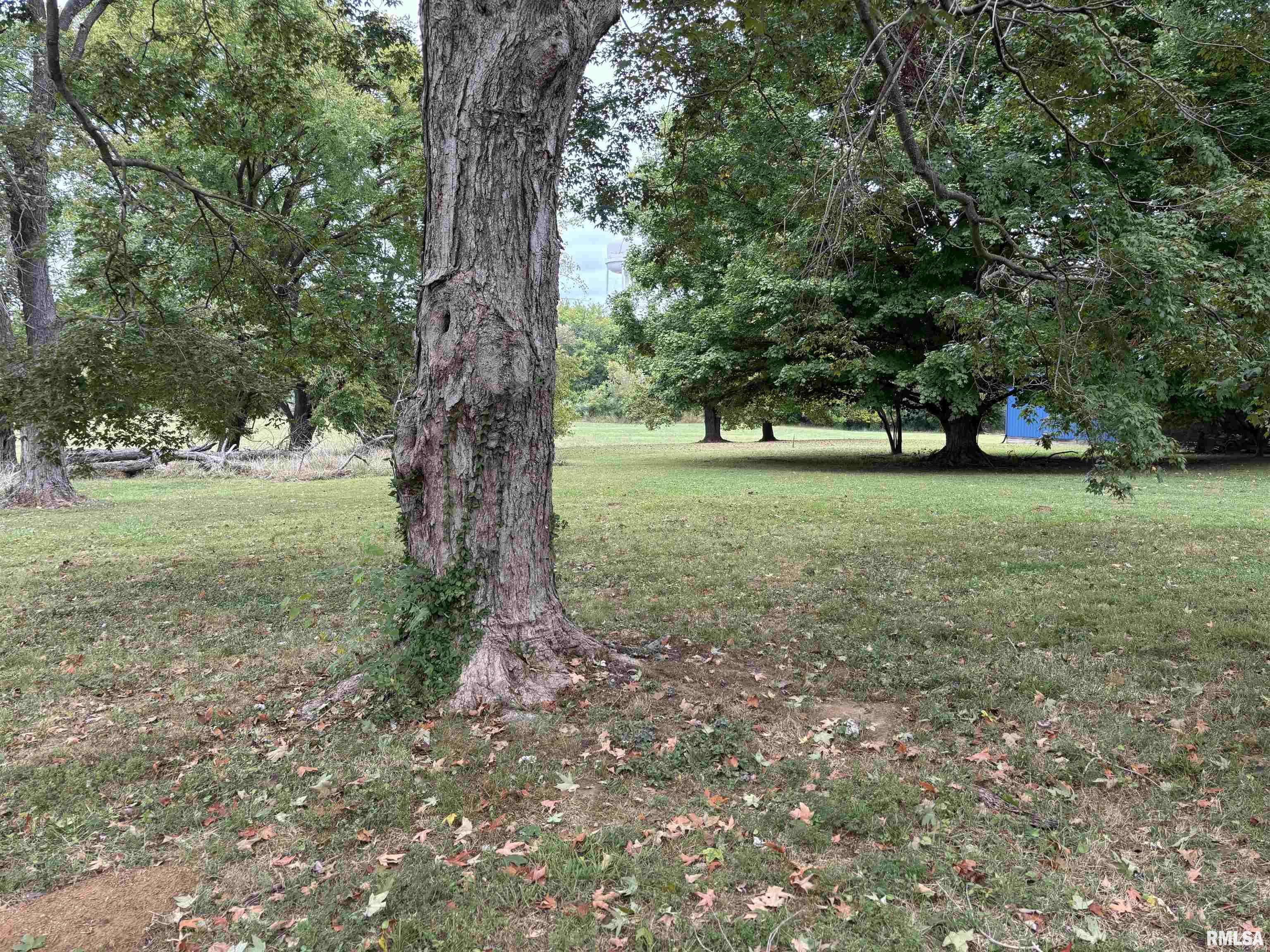 122 Center Street Anna, IL 62906 - Photo 7 of 49