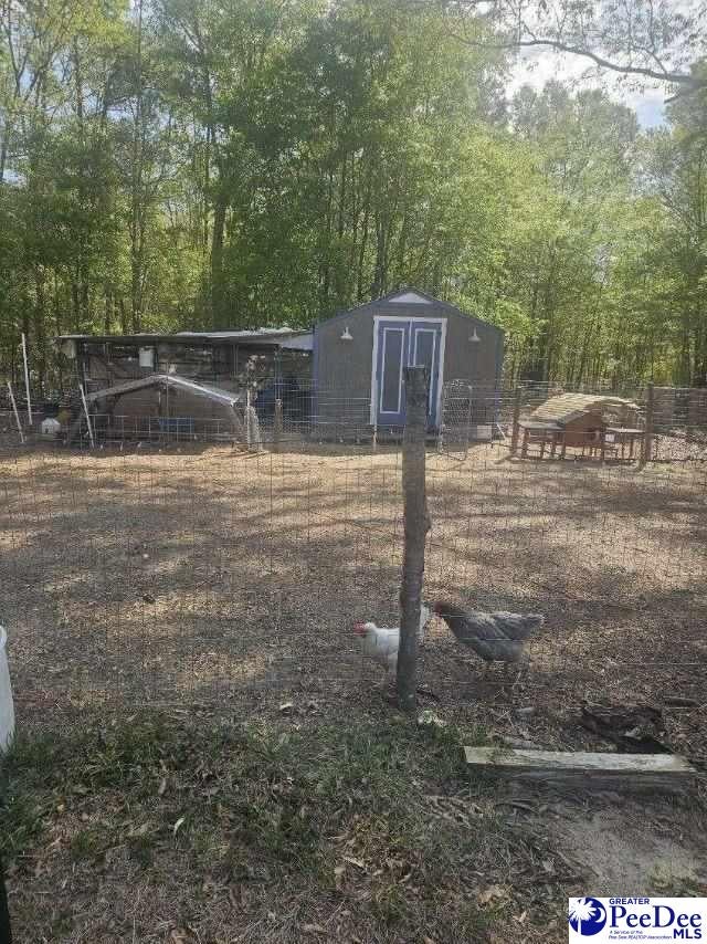 6102 Berry Road Blenheim, SC 29516 - Photo 20 of 21 Gallery Image 20