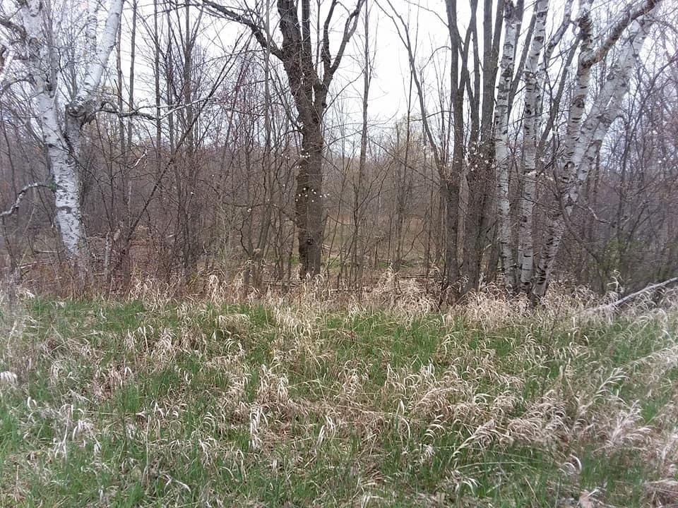 Old State Road Hale, MI 48739 - Photo 6 of 9 Gallery Image 6