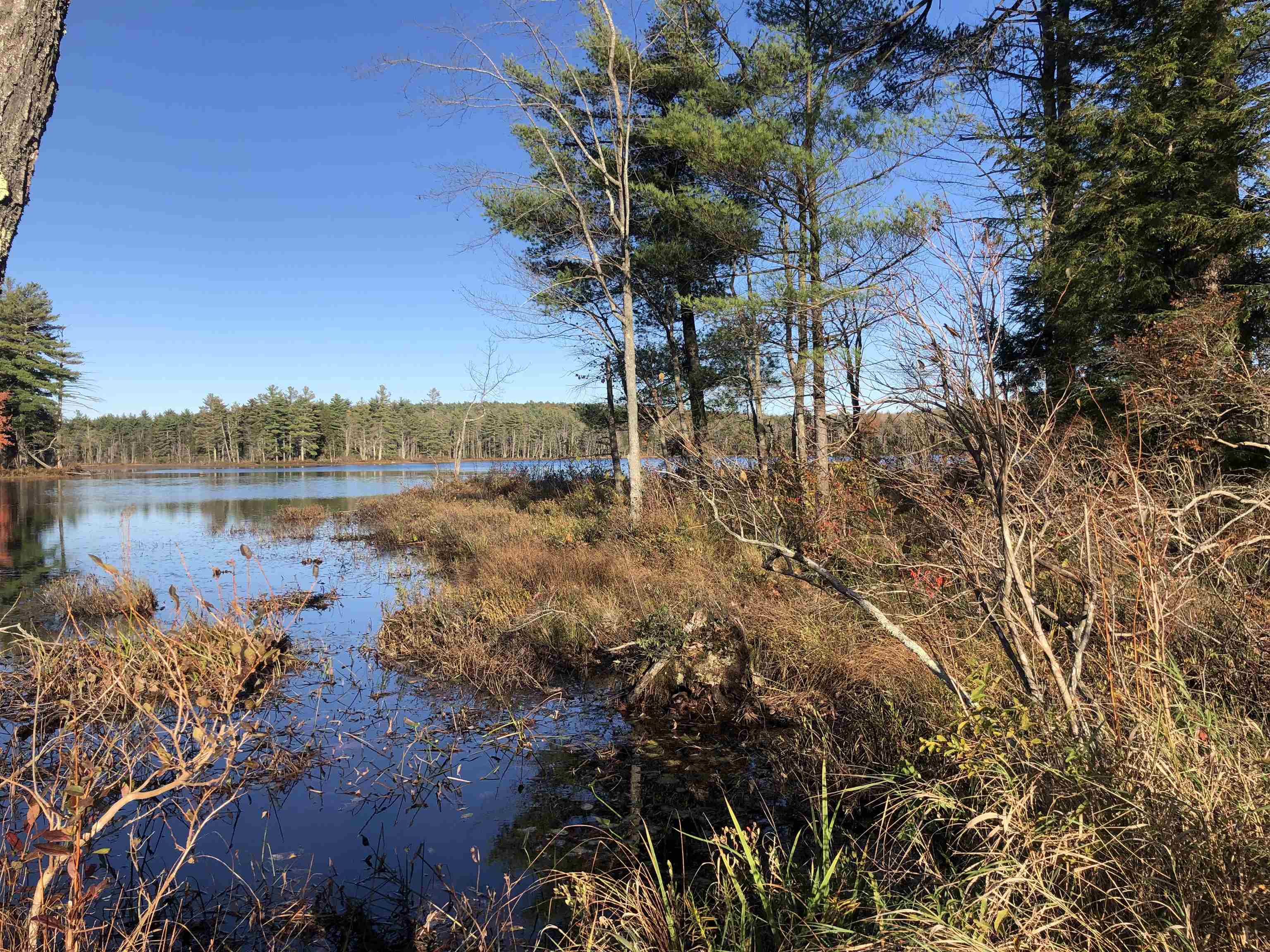 36-23 Johnson Road Fitzwilliam, NH 03447 - Photo 2 of 5