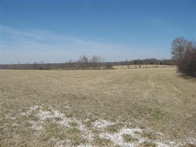 0 Johnson Road Sparta, MO 65753 - Photo 1 of 1 Primary Photo