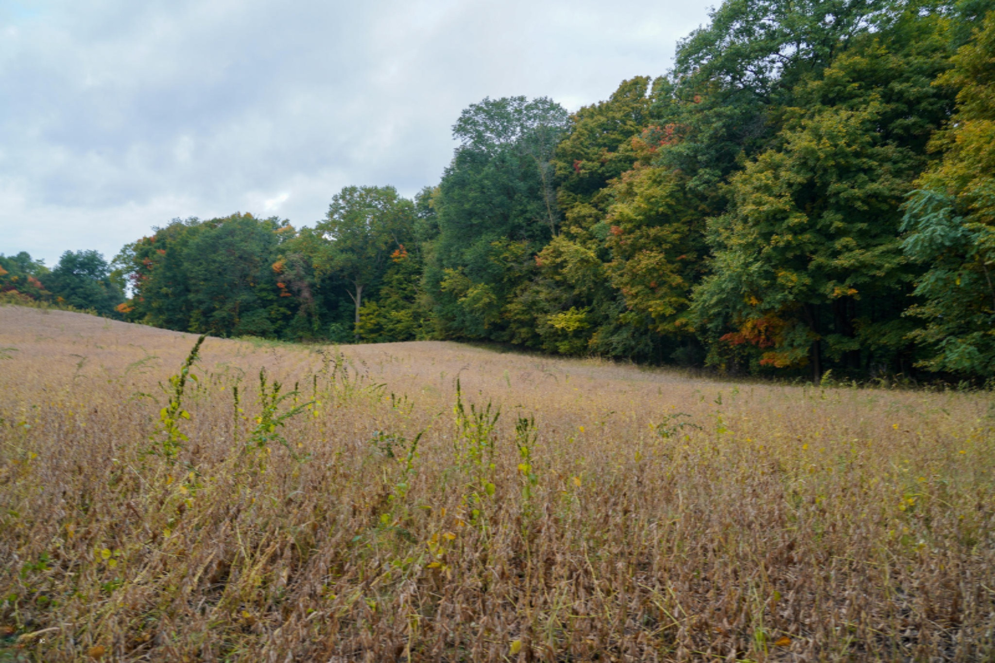 Penn Road Cassopolis, MI 49031 - Photo 5 of 10 5