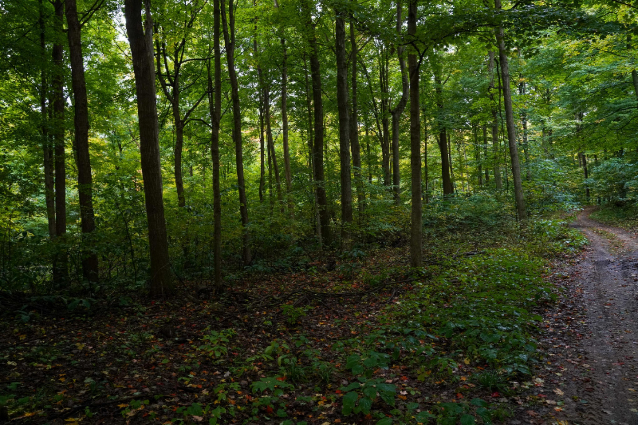 Penn Road Cassopolis, MI 49031 - Photo 8 of 10 8