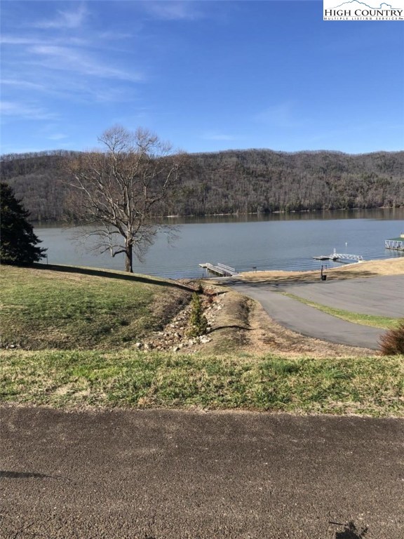 0 Deer Ridge Court Butler, TN 37640 - Photo 14 of 16