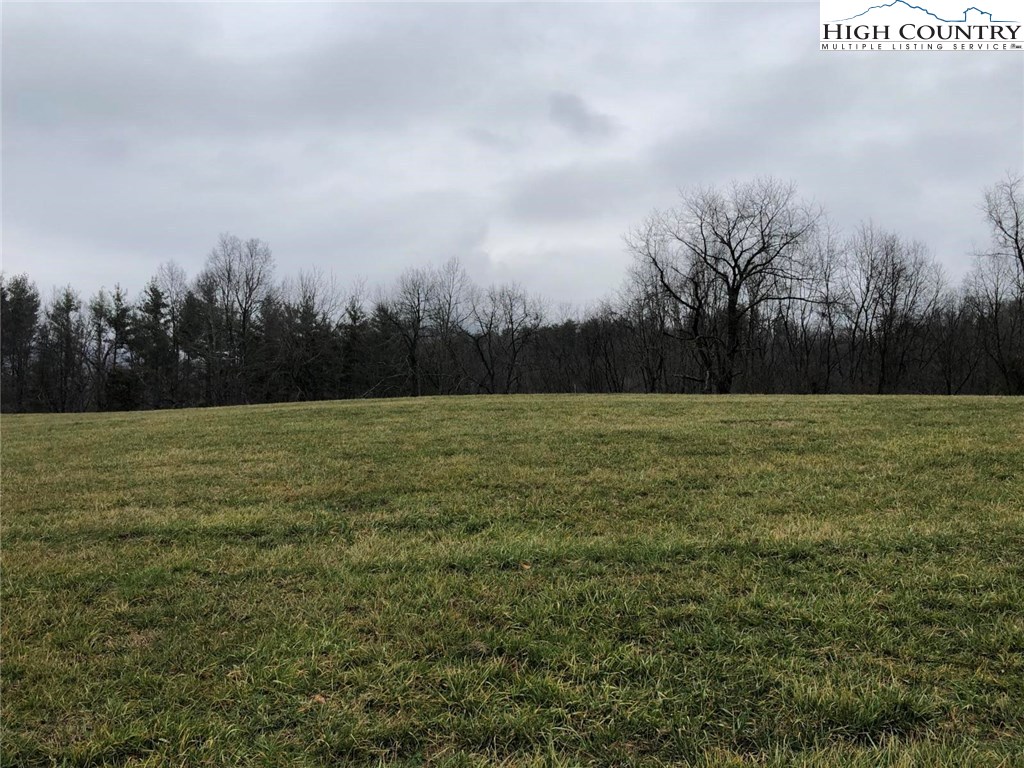 0 Deer Ridge Court Butler, TN 37640 - Photo 3 of 16