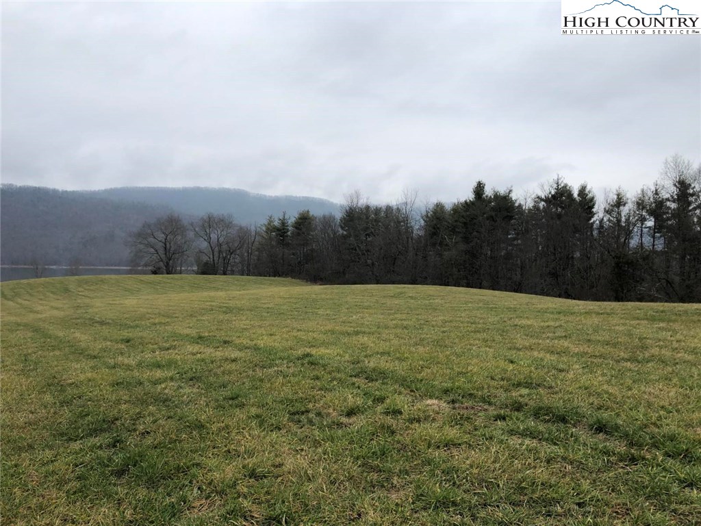 0 Deer Ridge Court Butler, TN 37640 - Photo 4 of 16