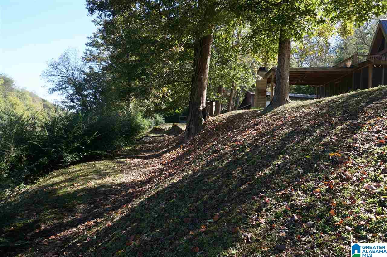 130 Creek Grove Road Cleveland, AL 35049 - Photo 24 of 49