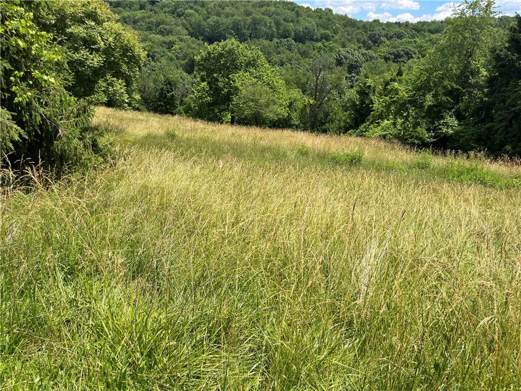 0 Calhoun Road Elizabeth, PA 15037 - Photo 9 of 12