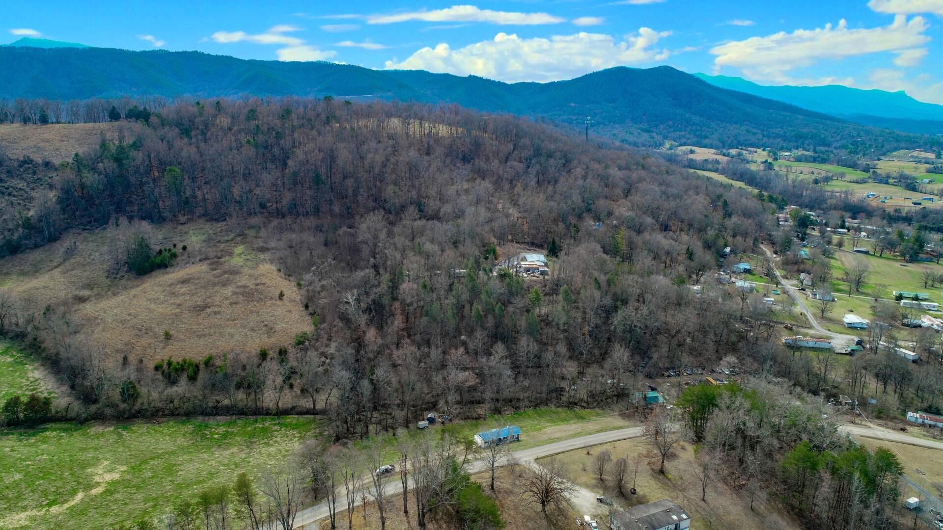 2550 Dark Hollow Road Cosby, TN 37722 - Photo 24 of 38 21.3