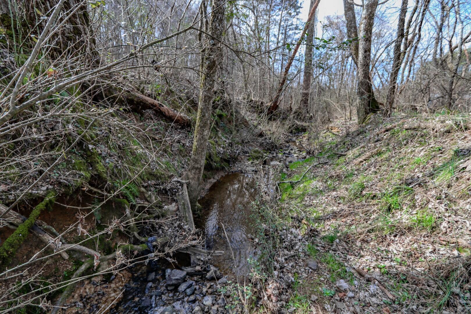 2550 Dark Hollow Road Cosby, TN 37722 - Photo 27 of 38 21.6