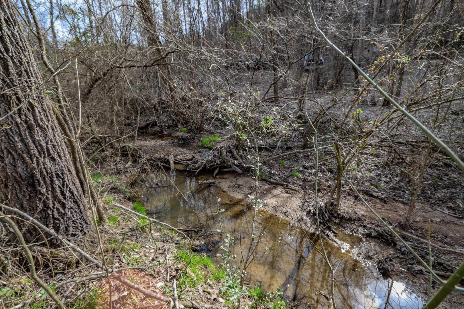 2550 Dark Hollow Road Cosby, TN 37722 - Photo 28 of 38 21.7