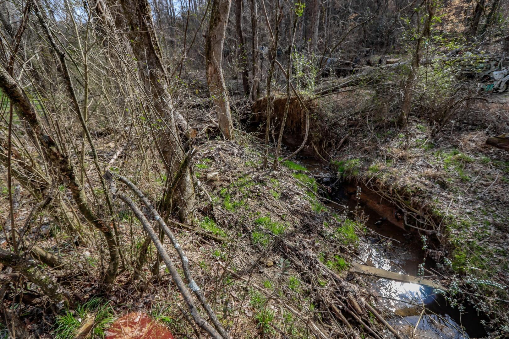 2550 Dark Hollow Road Cosby, TN 37722 - Photo 29 of 38 21.8