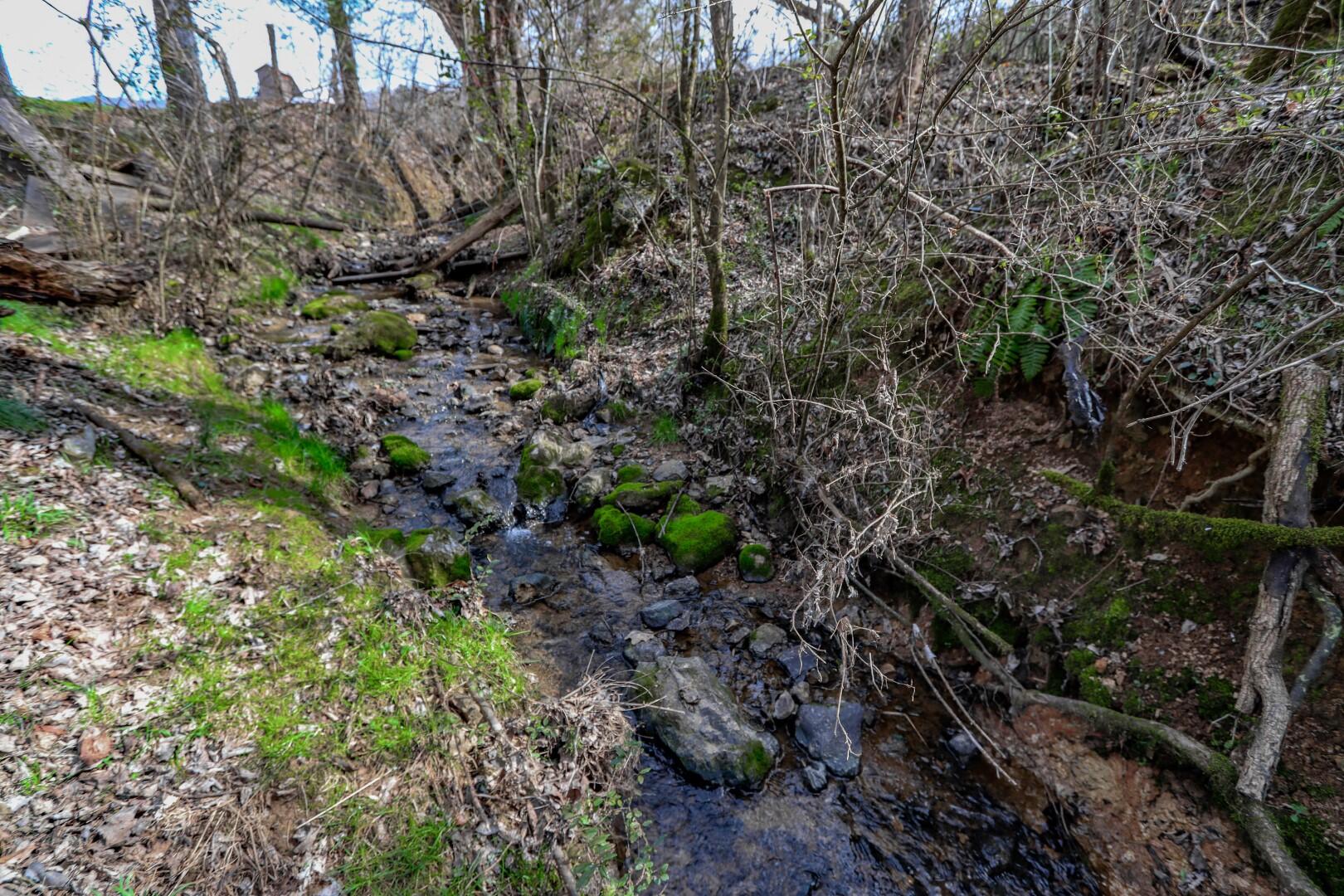 2550 Dark Hollow Road Cosby, TN 37722 - Photo 3 of 38 3
