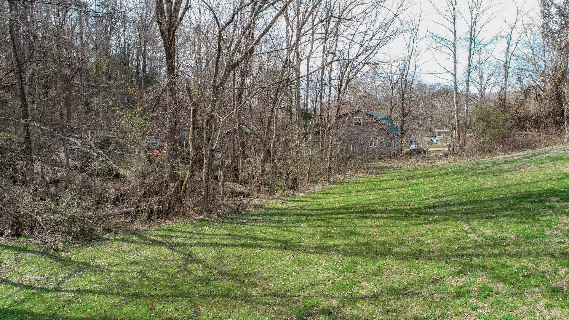2550 Dark Hollow Road Cosby, TN 37722 - Photo 37 of 38 28