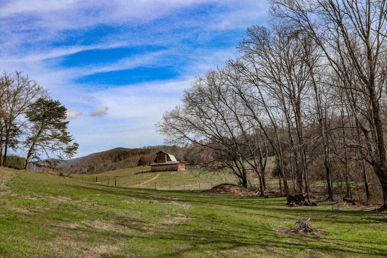 2550 Dark Hollow Road Cosby, TN 37722 - Photo 38 of 38 29