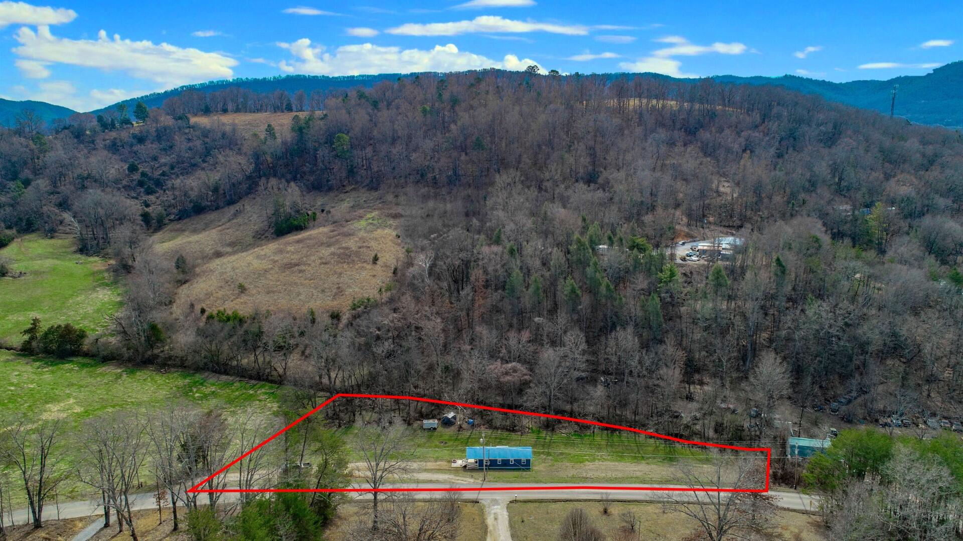 2550 Dark Hollow Road Cosby, TN 37722 - Photo 4 of 38 4