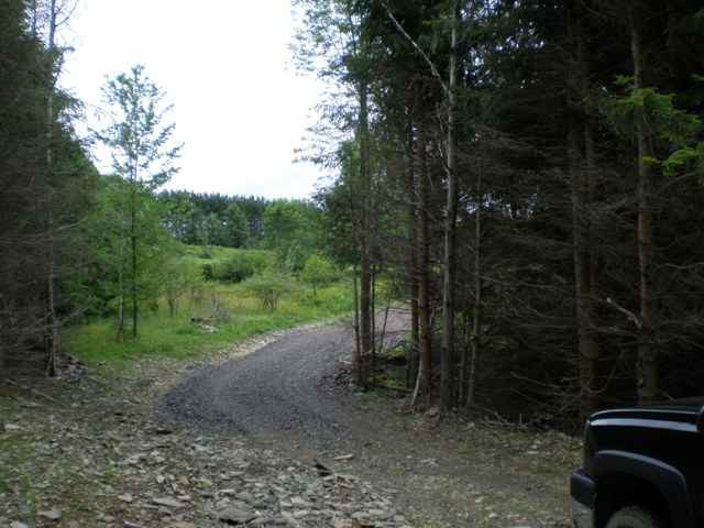 4 Dead End Road Summit, NY 12175 - Photo 3 of 11 Photo 3