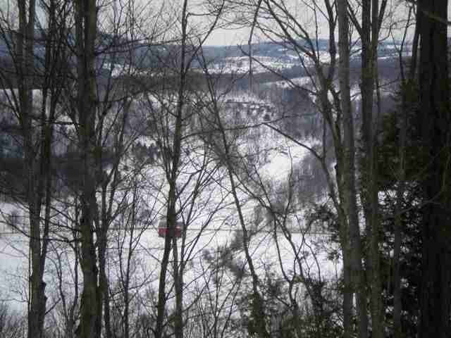 4 Dead End Road Summit, NY 12175 - Photo 4 of 11 Photo 4