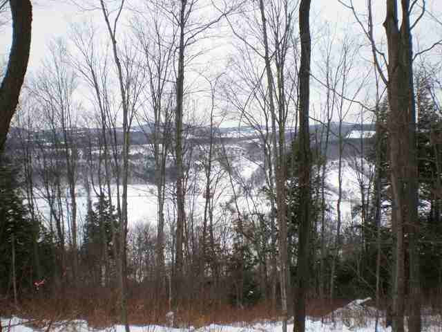 4 Dead End Road Summit, NY 12175 - Photo 6 of 11 Photo 6
