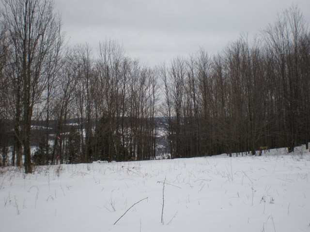 4 Dead End Road Summit, NY 12175 - Photo 8 of 11 Photo 8