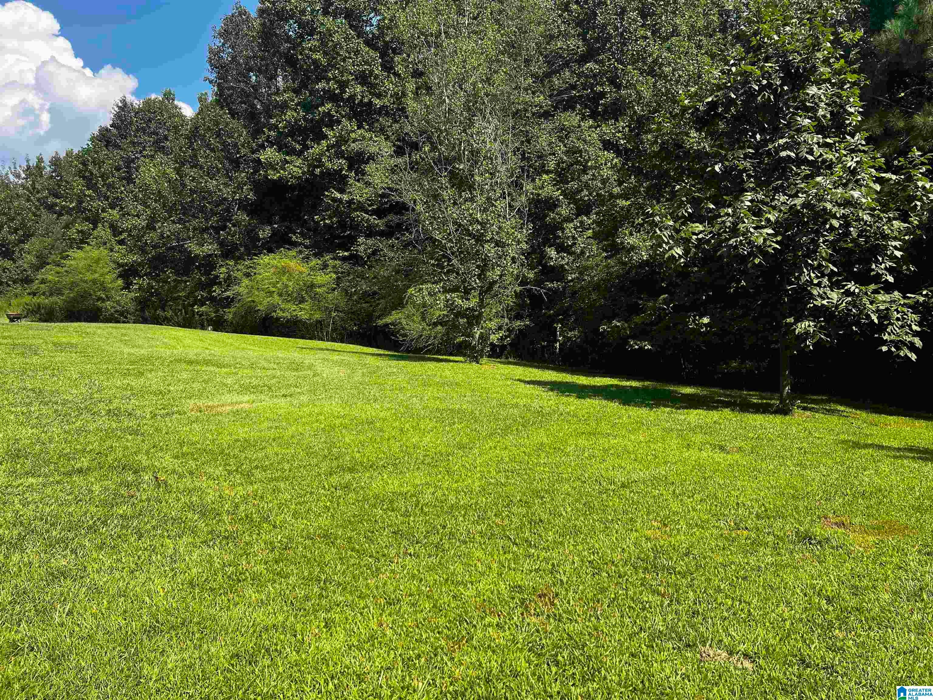 93 Valley Ridge Odenville, AL 35120 - Photo 7 of 27 Gallery Image 7