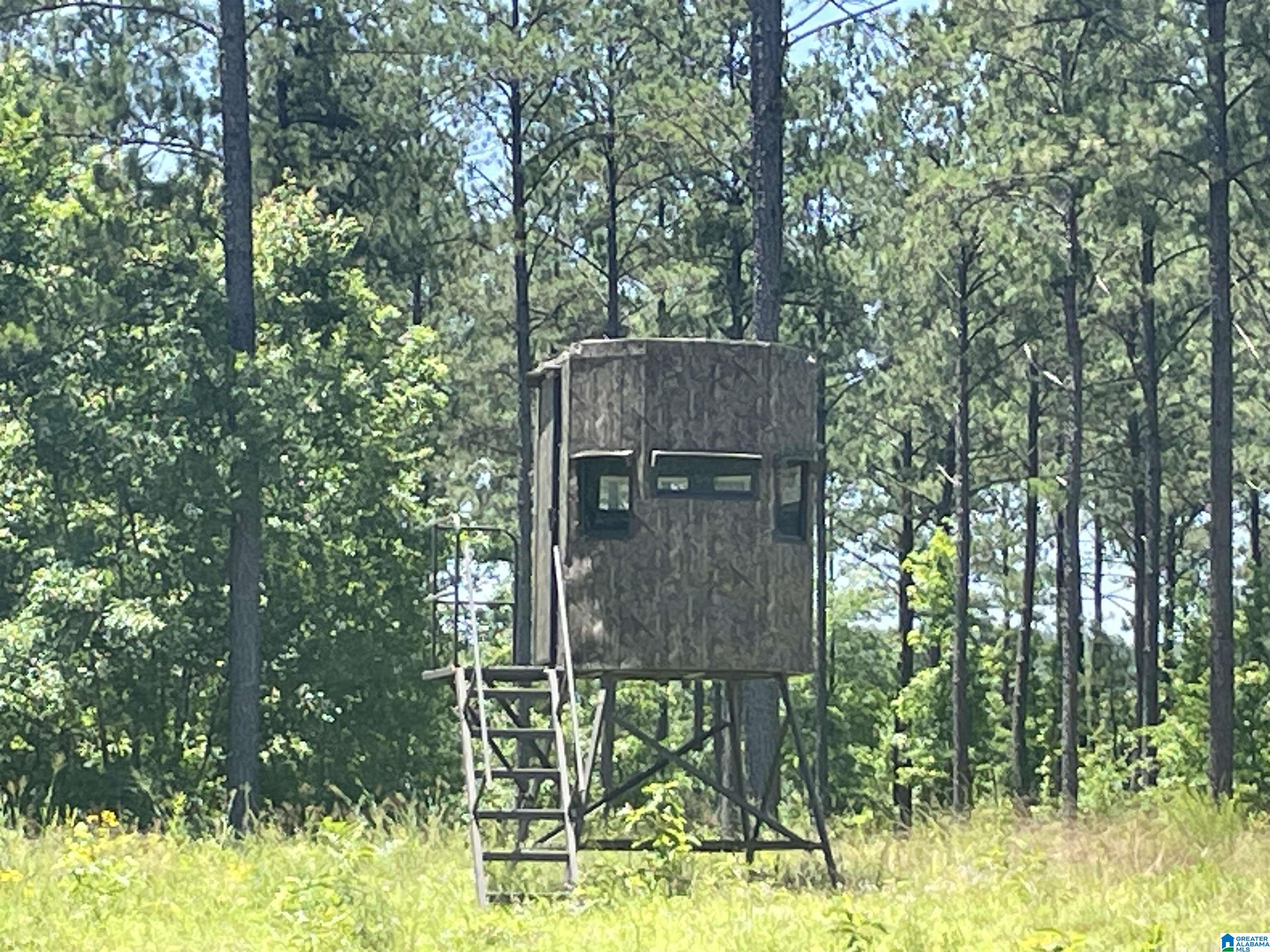 0 Chelsea Farms Road, Unit 24 Chelsea, AL 35043 - Photo 5 of 37
