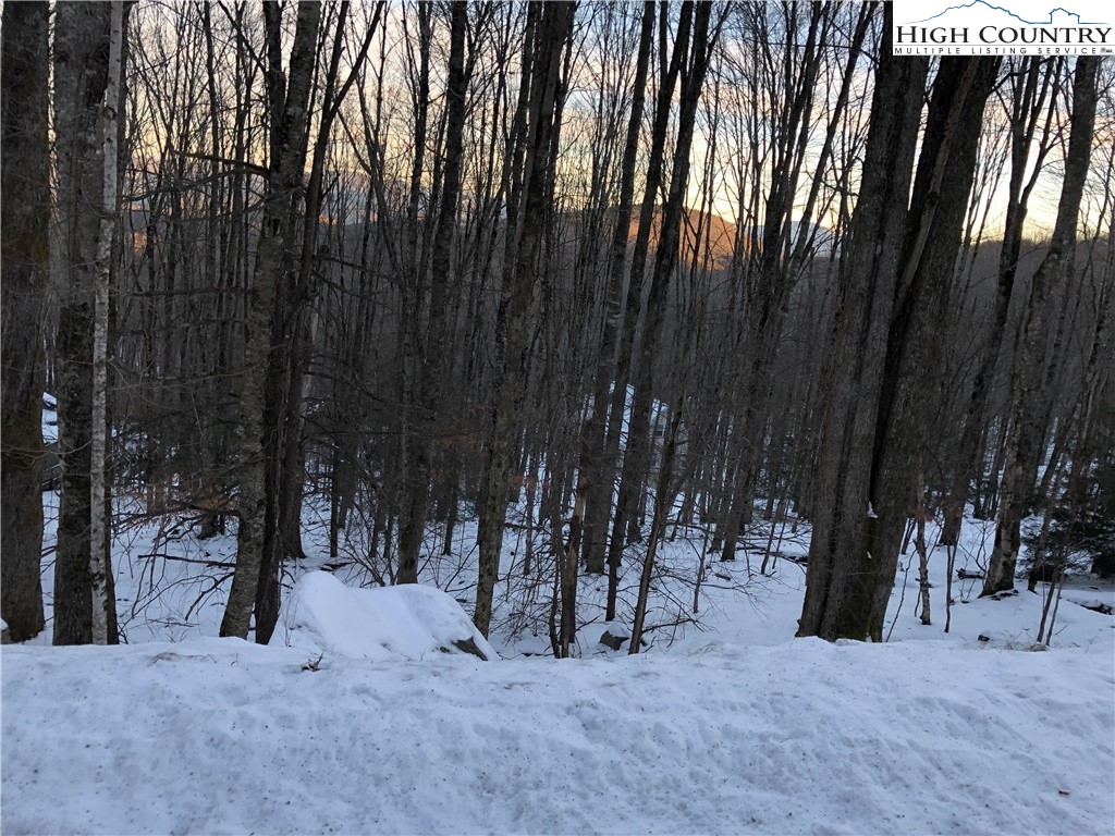 222 Lakeledge Road Beech Mountain, NC 28604 - Photo 1 of 5 Gallery Image 1