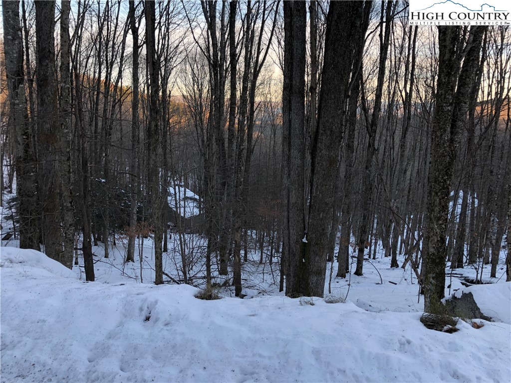 222 Lakeledge Road Beech Mountain, NC 28604 - Photo 3 of 5 Gallery Image 3