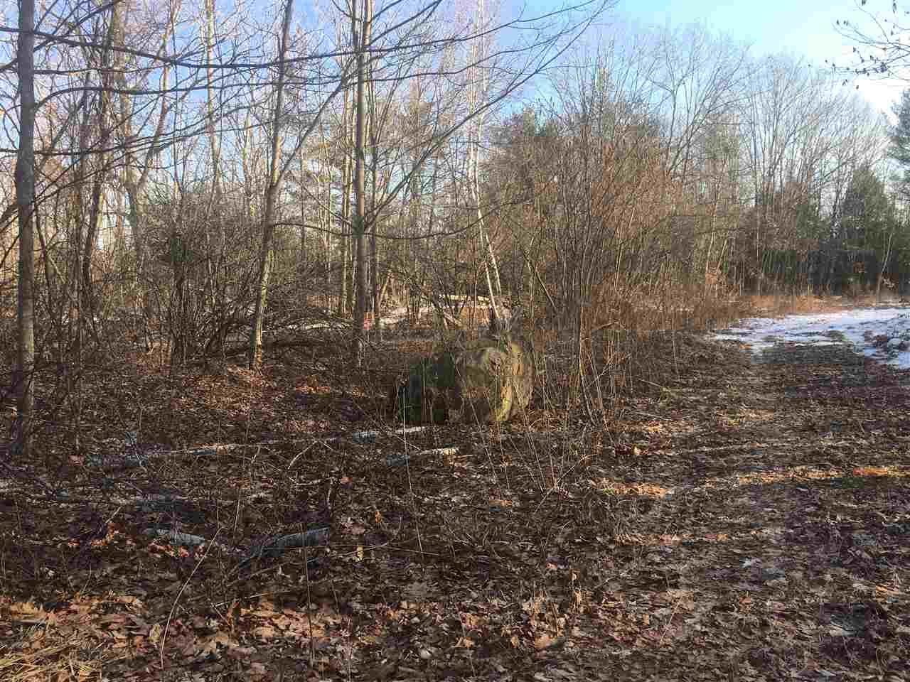 39 Fremont Road Sandown, NH 03873 - Photo 2 of 2