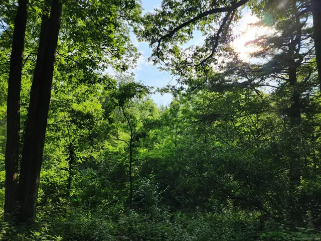 $44,900 | 30 Cliff Drive, Avon, CT 06001