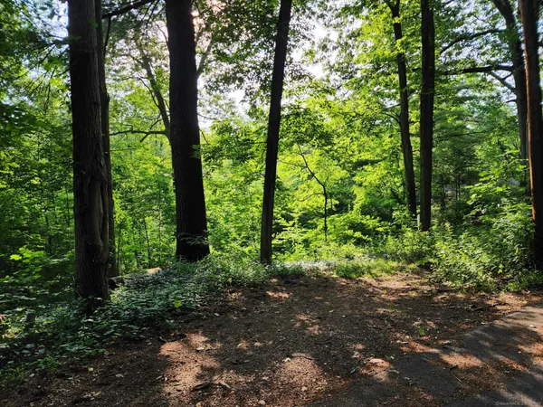 $44,900 | 30 Cliff Drive, Avon, CT 06001