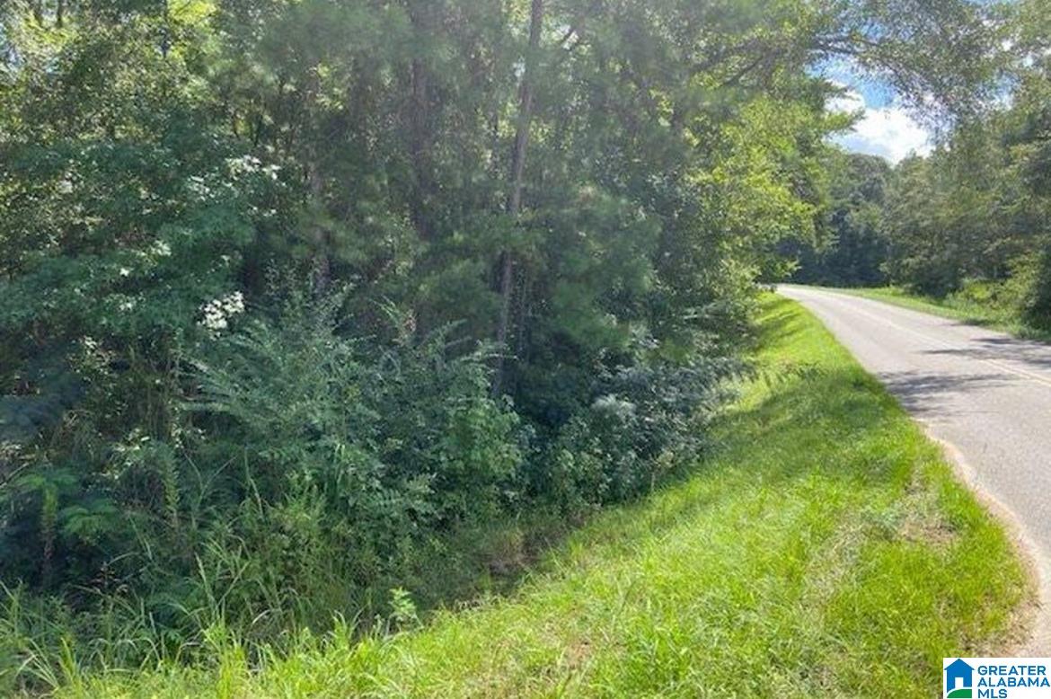 458 County Road, Unit 1 Clanton, AL 35046 - Photo 2 of 12