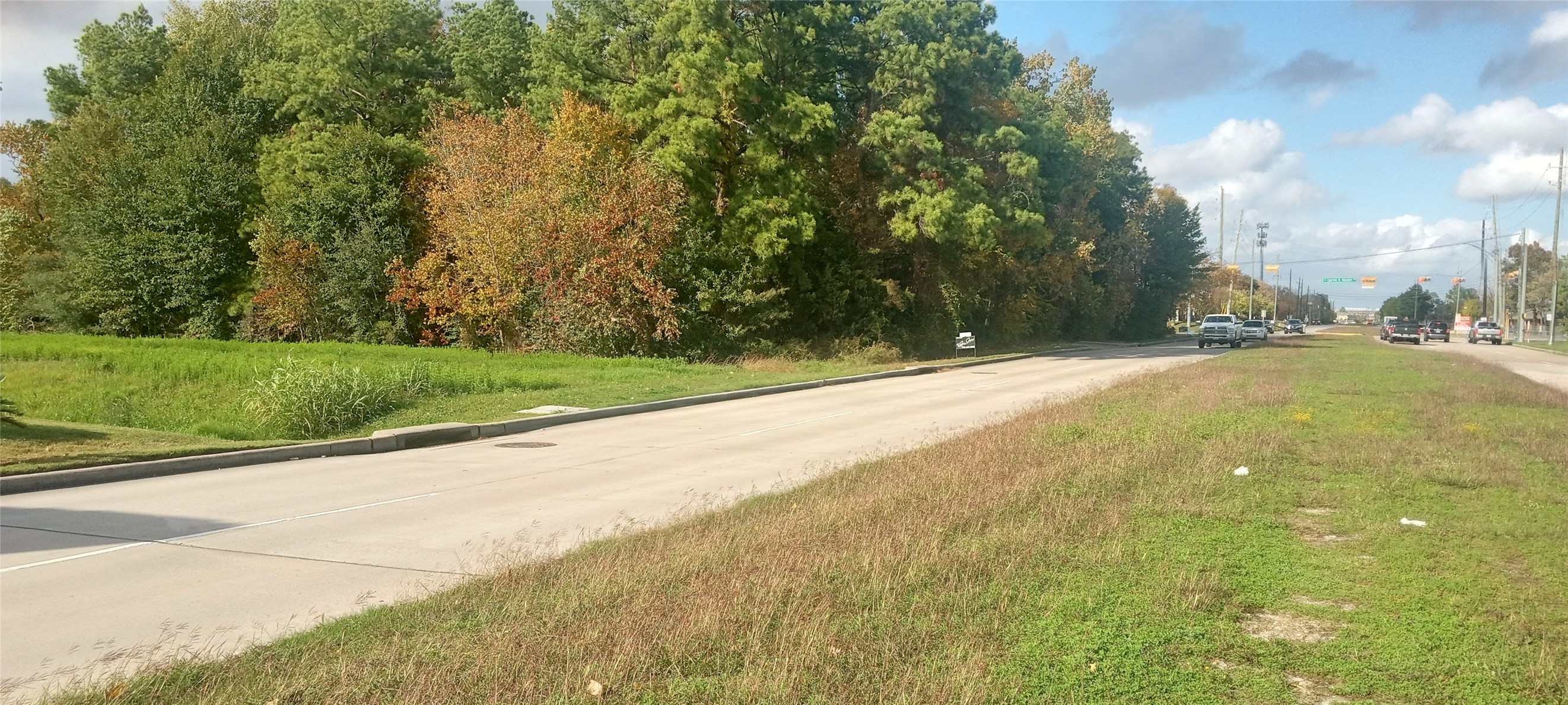 12231 Perry Road Houston, TX 77070 - Photo 3 of 11 South end (back) of the lot on Perry. It is a landing strip that may have been abandoned.