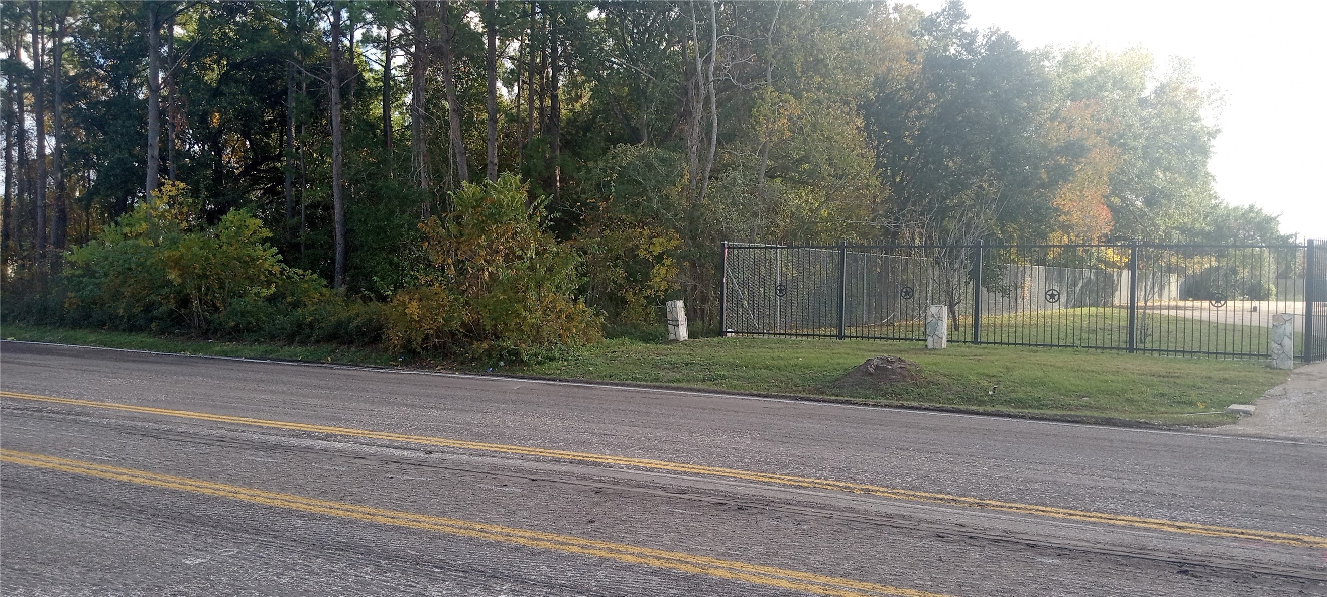 12231 Perry Road Houston, TX 77070 - Photo 7 of 11 Close up view on Cypress North Houston.