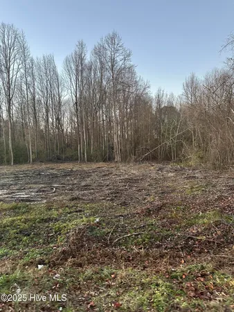 $70,000 | 9585 Shallow Crk Trail, Bailey, NC 27807