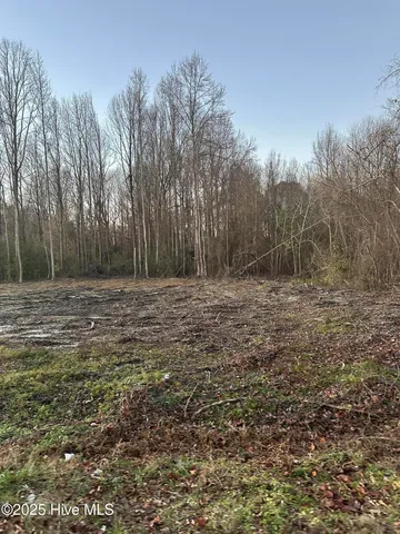 $70,000 | 9585 Shallow Crk Trail, Bailey, NC 27807