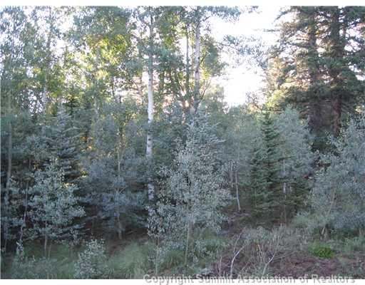 40 Nez Perce Road Jefferson, CO 80456 - Photo 1 of 6 Gallery Image 1