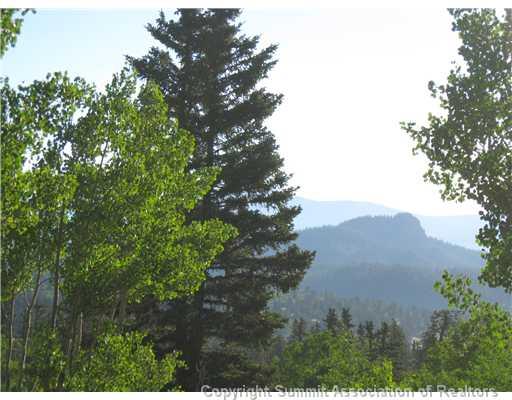 40 Nez Perce Road Jefferson, CO 80456 - Photo 3 of 6 Gallery Image 3