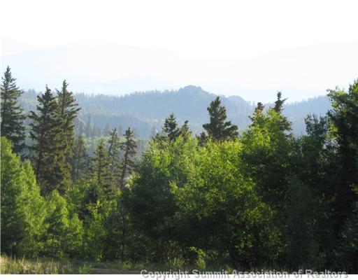 40 Nez Perce Road Jefferson, CO 80456 - Photo 6 of 6 Gallery Image 6